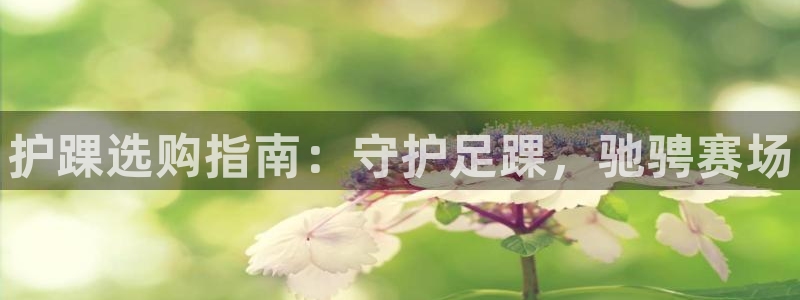 欧陆官方网站：护踝选购指南：守护足踝，驰骋赛场