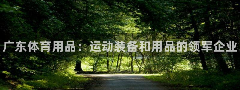 欧陆娱乐怎么注册会员的：广东体育用品：运动装备和用品的领军企