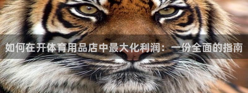 欧陆娱乐客服电话人工服务：如何在开体育用品店中最大化利润：一