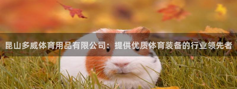 欧陆娱乐能提现嘛现在：昆山多威体育用品有限公司：提供优质体育