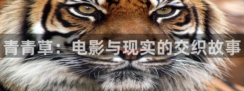 在线观看羞羞影院